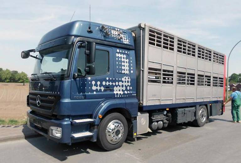 Сколько стоит перевозка лошади недорого из Тамбова в Ульяновск