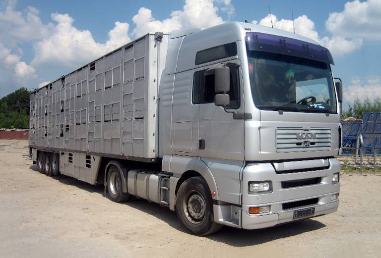 Прицеп для перевозки крупного рогатого скота из Кубинки в Звенигород