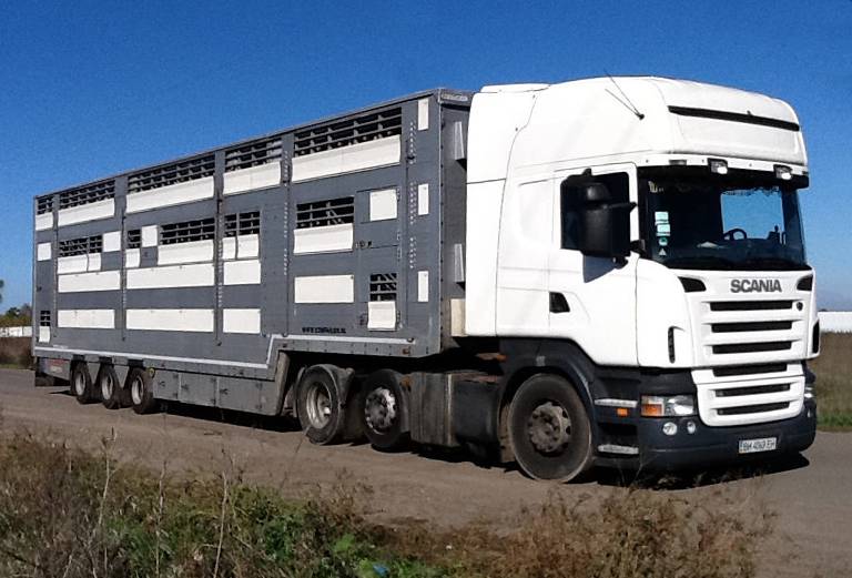 Прицеп для перевозки крупного рогатого скота из Тамбова в Санкт-Петербург